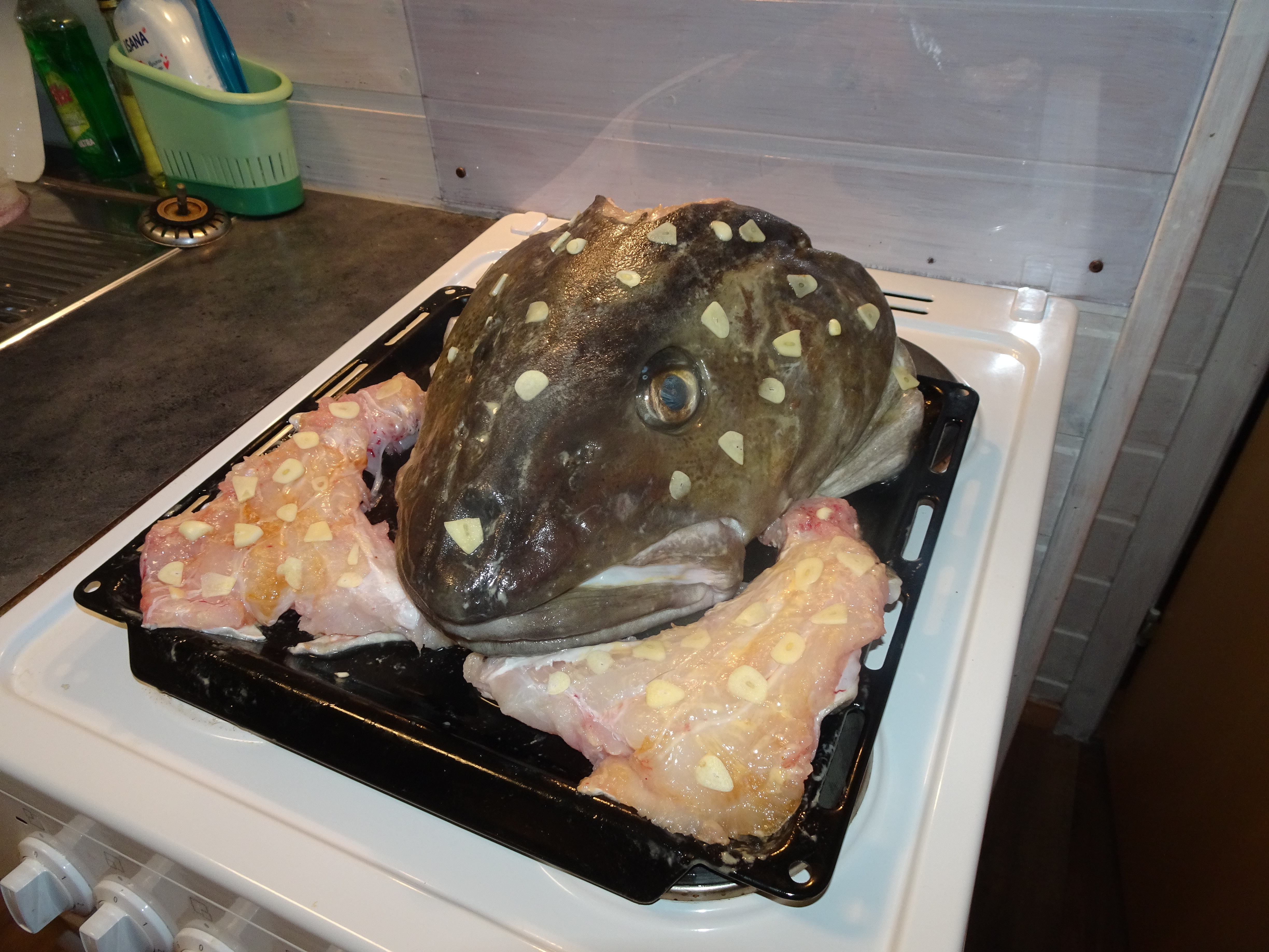 Hubbeltopf 3kg Dorschkopf