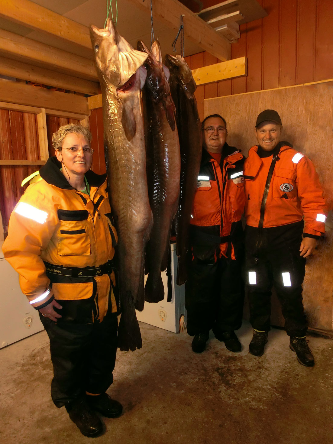 HubbeltopfHochseeangeln 3 Lengs in Flatanger gefangen