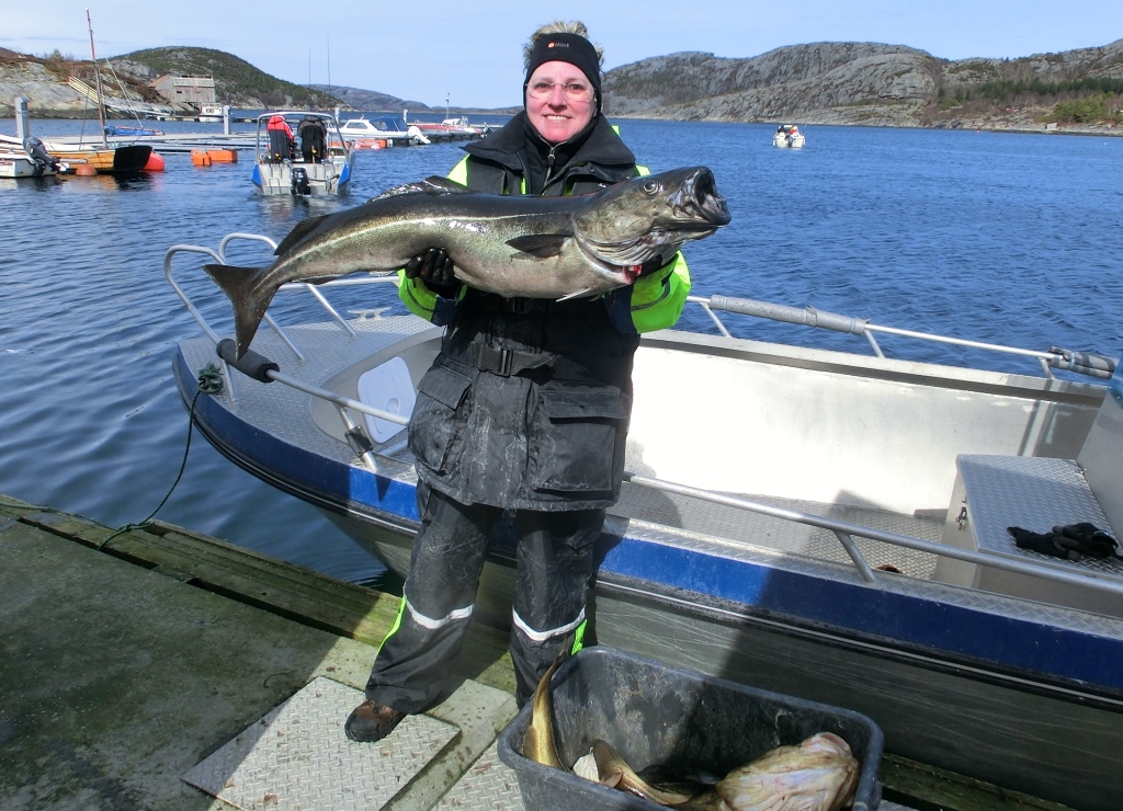 Hubbeltopf Seelachs 105cm