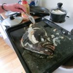 Hubbeltopf Der Kopf vom Heilbutt auf dem Backblech