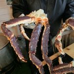 Hubbeltopf Königskrabben am Kjöllefjord