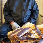 Hubbeltopfhochseeangeln Königskrabbe