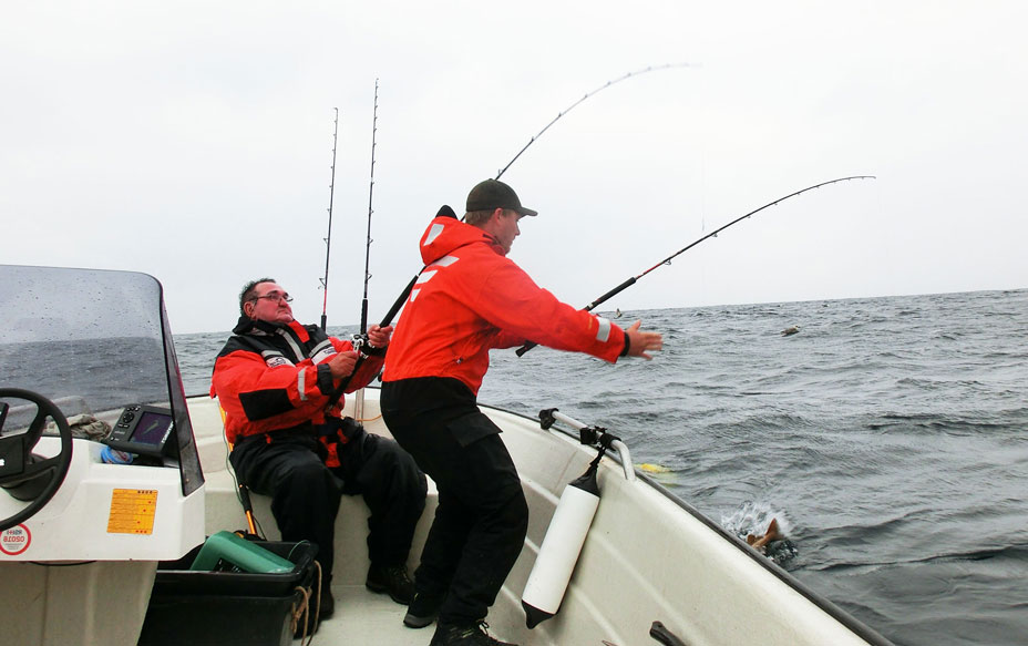 HubbeltopfHochseeangeln 3 Lengs werden in Flatanger gedrillt